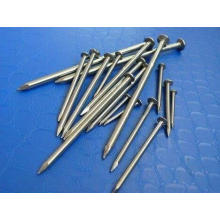 Niedriger Preis-Anbieter Common Round Iron Wire Nail